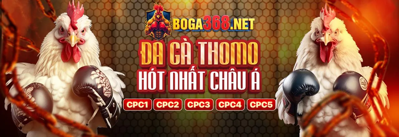 Đăng Ký Tài Khoản Dùng Thử Bong88 2026