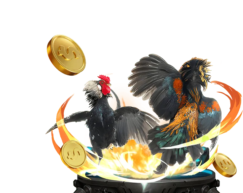 Các sự kiện và giải đấu đặc biệt của Bong88